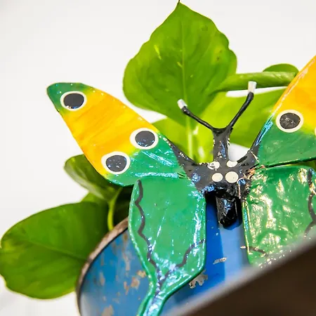 Апартаменты Casa Dell'angelo *